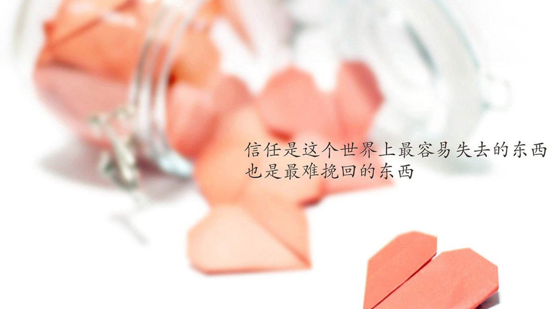江苏连云港海鲜批发市场价格表(连云港海鲜批发市场最大最便宜)
