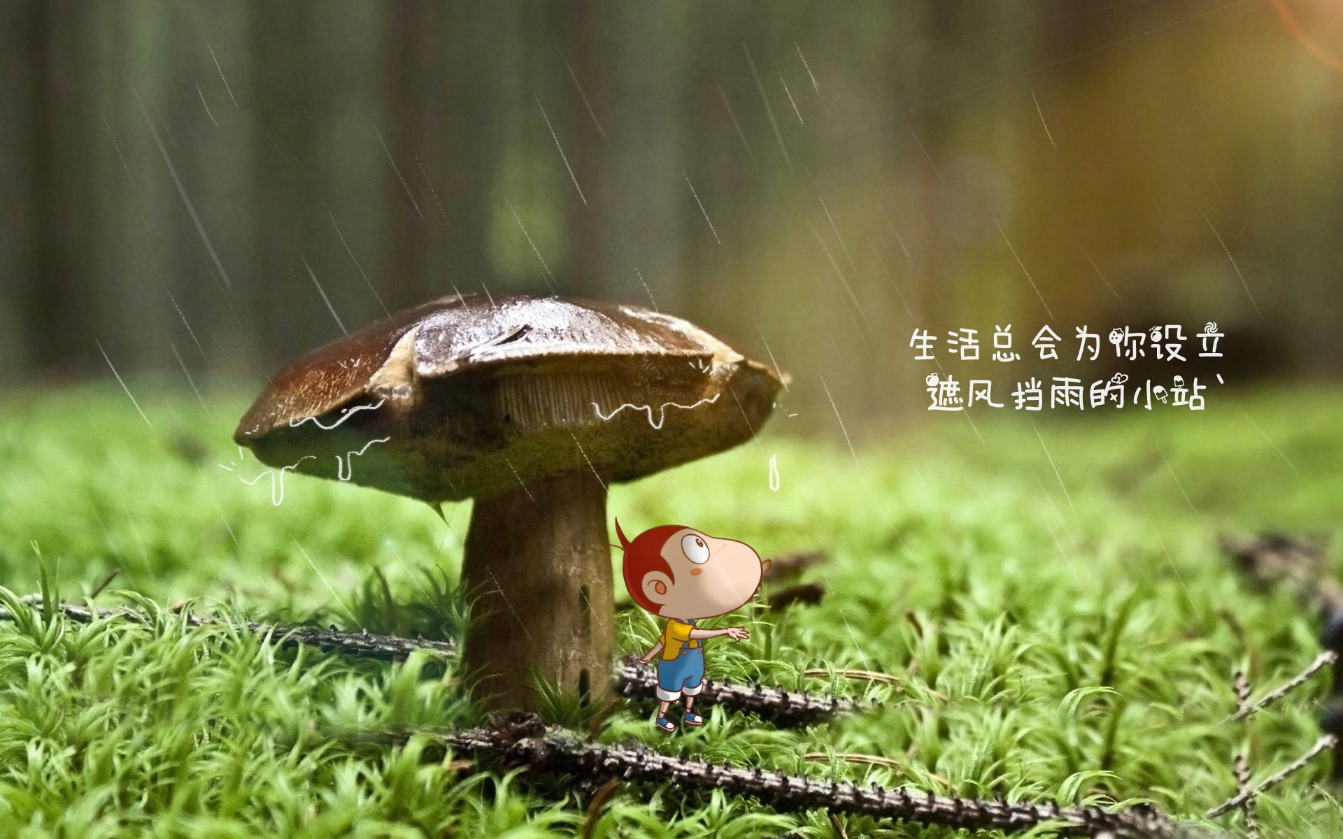 吃海鲜用英语怎么写(吃海鲜的英文怎么读)