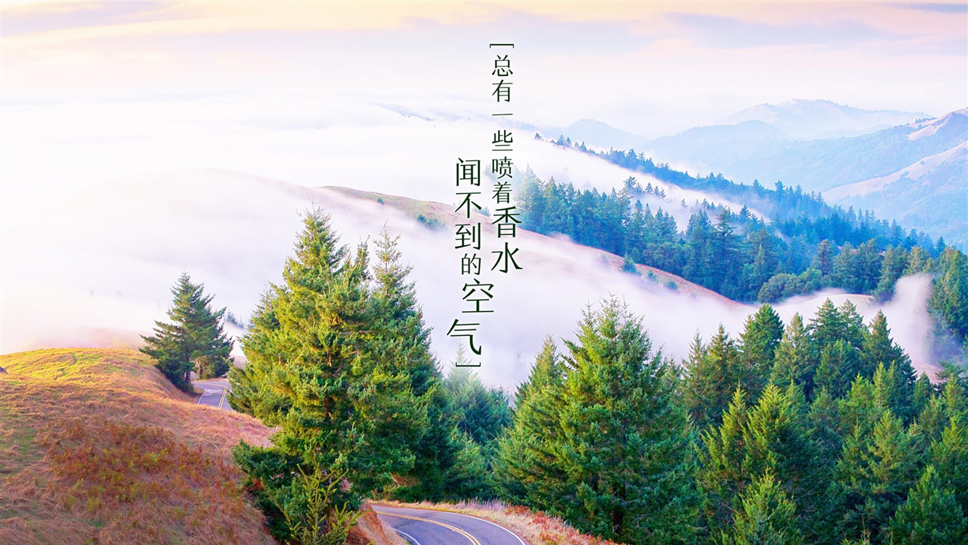 贝壳海鲜怎么做(贝壳海鲜做法)